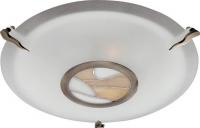 Настенно-потолочный светильник Arte Lamp PUB A7895PL-2AB