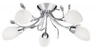 Потолочная люстра Arte Lamp GARDENIA A2766PL-5CC