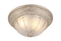 Потолочный светильник Arte Lamp PIATTI A8014PL-2WA