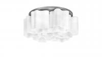 Потолочная люстра Lightstar Simple Light 802 802071