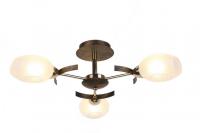 Потолочная люстра Arte Lamp CAMILLA A6094PL-3BA