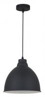 Подвесной светильник Arte Lamp BRACCIO A2055SP-1BK