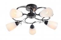 Потолочная люстра Arte Lamp ALESSIA A6545PL-5BC