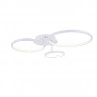 Светодиодная потолочная люстра ST Luce Erto SL904.112.03