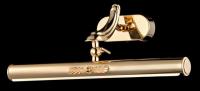 Подсветка MAYTONI Raphael PIC113-02-G