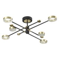 Светодиодная потолочная люстра Odeon Light Denzel 4321/55CL