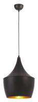 Подвесной светильник Arte Lamp CAPPELLO A3407SP-1BK
