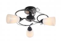 Потолочный светильник Arte Lamp ALESSIA A6545PL-3BC