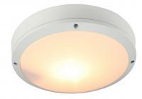 Уличный настенно-потолочный светильник Arte Lamp CITY A8154PF-2WH