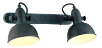 Спот Arte Lamp MARTIN A5213AP-2BG