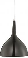 Подвесной светильник Arte Lamp PENDANTS A9077SP-1BK