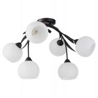 Потолочная люстра Lussole BAGHERIA LSF-6283-06