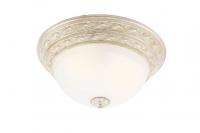 Потолочный светильник Arte Lamp PIATTI A8013PL-2WA
