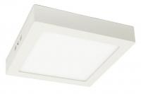 Светодиодный накладной светильник Arte Lamp ANGOLO A3618PL-1WH
