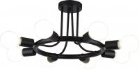 Потолочная люстра Arte Lamp HIGHGARDEN A6063PL-8BK