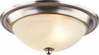 Настенно-потолочный светильник Arte Lamp ALTA A3011PL-2SS