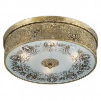 Потолочная люстра Odeon Light ASTER 2782/4C