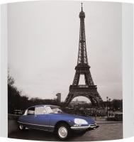 Настенный светильник Alfa PARIS 91365