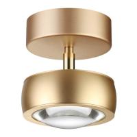 Светодиодный потолочный светильник Odeon Light OTTICO 3874/10CL
