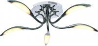 Светодиодный потолочный светильник Arte Lamp MATTINO A9442PL-5CC