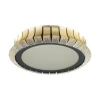 Потолочная люстра Odeon Light ASTURO 4994/75L