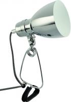 Настольная лампа Arte Lamp DORM A1409LT-1CC