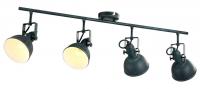 Спот Arte Lamp MARTIN A5215PL-4BG