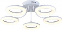 Светодиодная потолочная люстра Arte Lamp NASTRO A9358PL-5WH