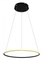 Светодиодный подвесной светильник Arte Lamp RAPID A2500SP-1BK