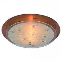 Настенно-потолочный светильник Arte Lamp TIANA A4043PL-1CC