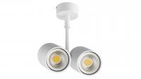 Накладной светильник Lightstar Rullo 214446
