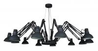 Подвесная люстра Arte Lamp Ragno Black A2043SP-12BK