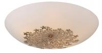 Потолочный светильник Arte Lamp PROVENCE A4548PL-5GO