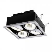 Светильник FAVOURITE Flashled 1985-4C
