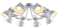 Потолочная люстра Arte Lamp MARTIN A5216PL-8WG
