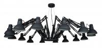 Подвесная люстра Arte Lamp Ragno Black A2043SP-16BK