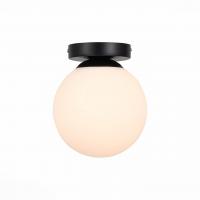 Потолочный светильник ST Luce ACINI SL717.401.01