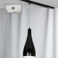 Трековый однофазный подвесной светильник Lussole TRACK LIGHTS LSF-1196-01-TAW
