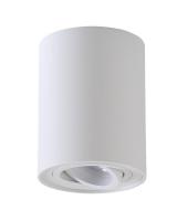 Потолочный светильник Crystal Lux CLT 410 CLT 410C1 WH