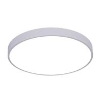 Светодиодный накладной светильник Arte Lamp Arena A2670PL-1WH