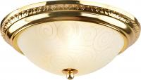 Настенно-потолочный светильник Arte Lamp ALTA A3013PL-2GO