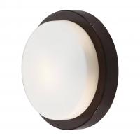 Настенно-потолочный светильник Odeon Light HOLGER 2744/1C