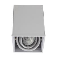 Накладной светильник Arte Lamp Cardani White A5942PL-1WH