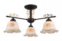 Потолочный светильник Arte Lamp AROMA A6582PL-3BR