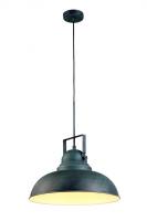 Потолочный светильник Arte Lamp MARTIN A5213SP-1BG
