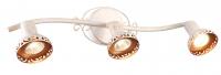 Спот Arte Lamp FOCUS A5219PL-3WG