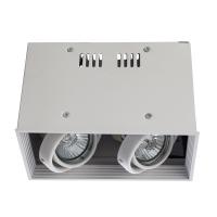 Накладной светильник Arte Lamp Cardani White A5942PL-2WH