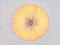 Потолочная люстра ST Luce SL351 SL351.172.08