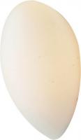 Бра ST Luce SL507 SL507.551.01