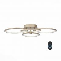 Светодиодная потолочная люстра ST Luce Twiddle dimmer SL867.202.04
